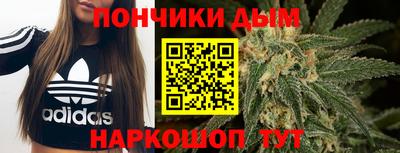крисы Камышлов
